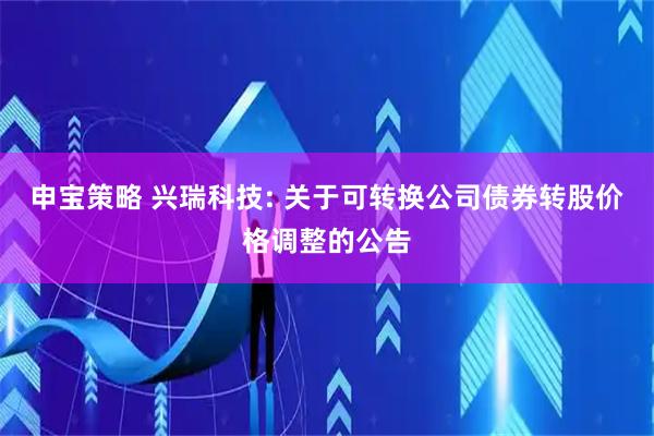 申宝策略 兴瑞科技: 关于可转换公司债券转股价格调整的公告