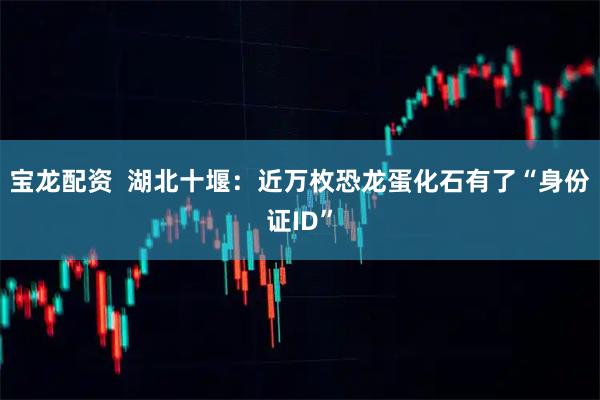 宝龙配资 湖北十堰:近万枚恐龙蛋化石有了“身份证ID”