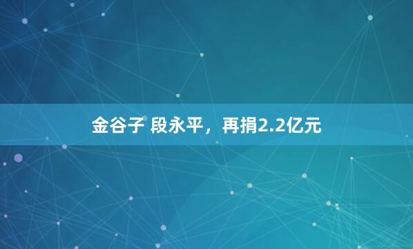 金谷子 段永平,再捐2.2亿元