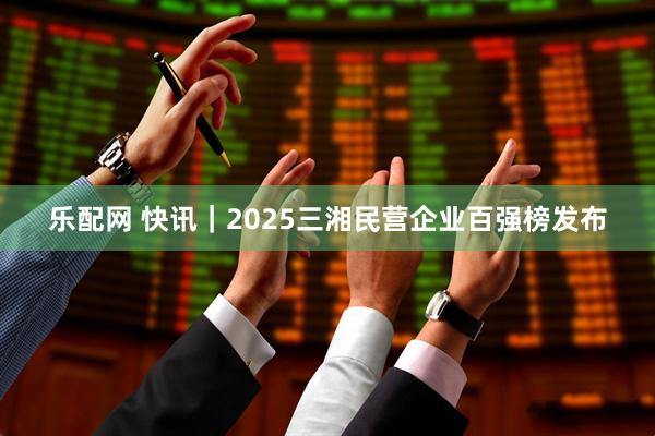 乐配网 快讯｜2025三湘民营企业百强榜发布