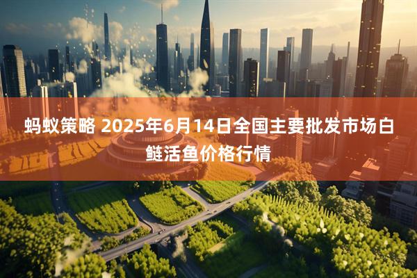 蚂蚁策略 2025年6月14日全国主要批发市场白鲢活鱼价格行情
