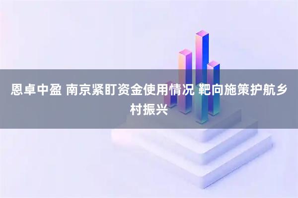 恩卓中盈 南京紧盯资金使用情况 靶向施策护航乡村振兴